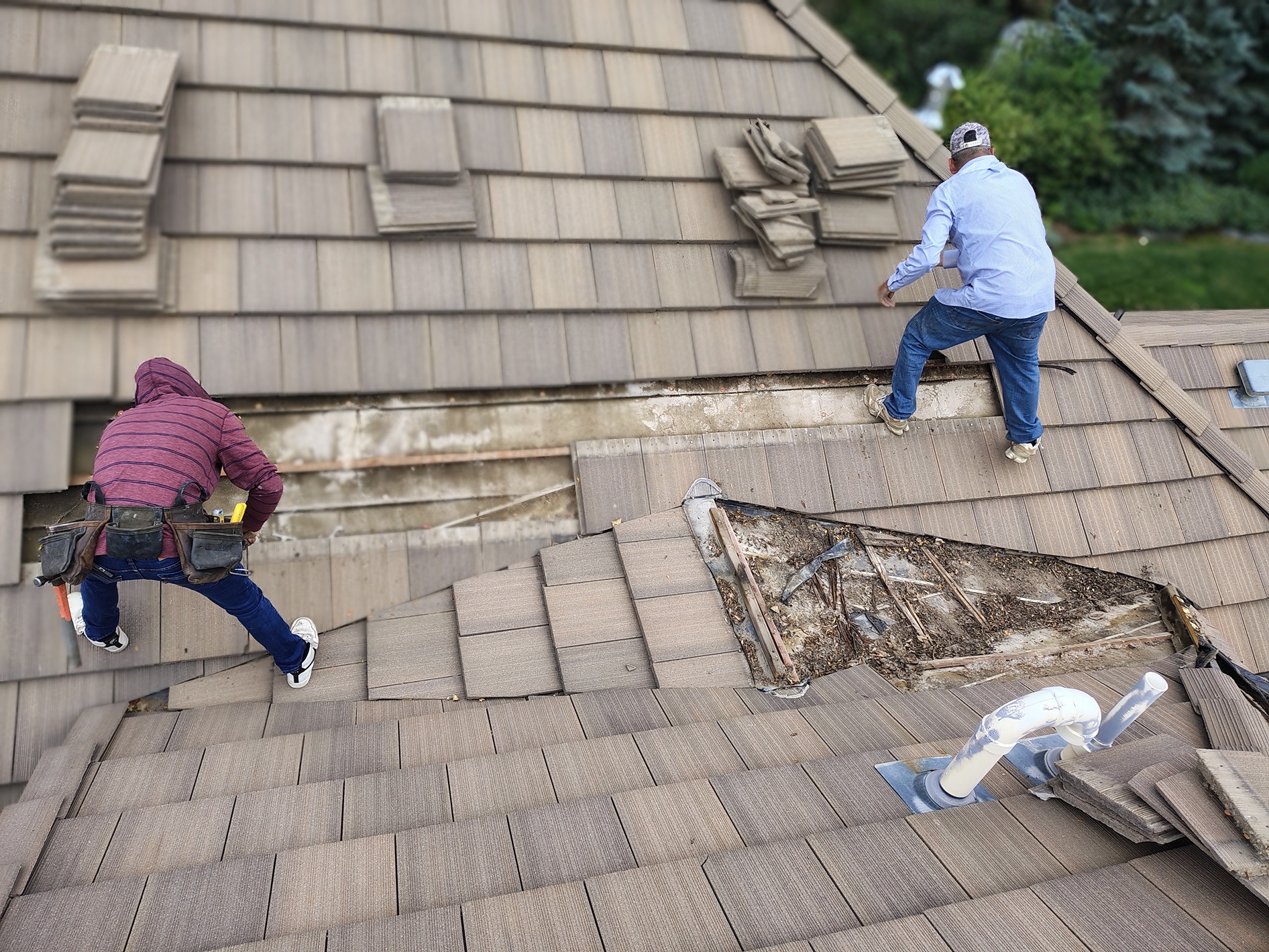 Green Flags to Look for When Hiring a Local Roofer